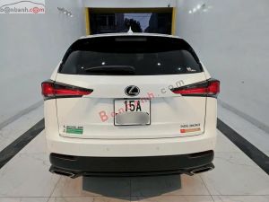 Xe Lexus NX 300 2018
