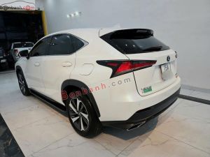 Xe Lexus NX 300 2018