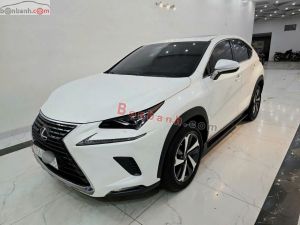 Xe Lexus NX 300 2018