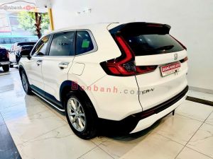Xe Honda CRV L 2024