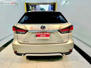 Xe Lexus RX 300 2021