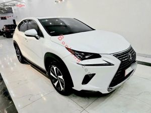 Xe Lexus NX 300 2018
