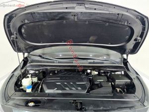 Xe Kia Sedona Platinum D 2018